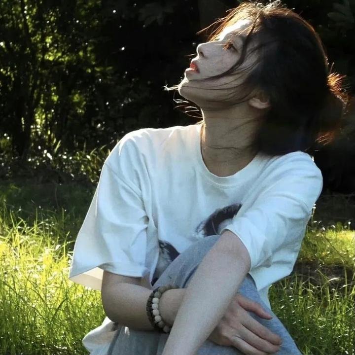 天眼行动
